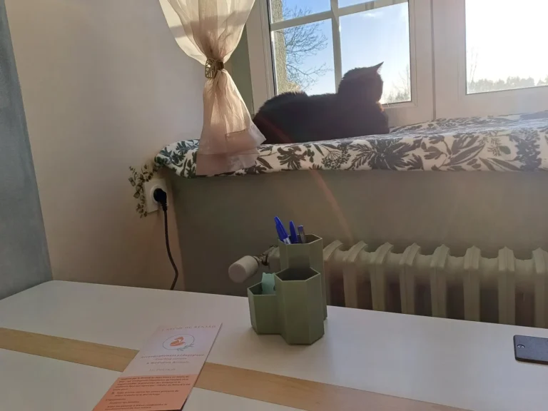 Le chat médiateur de L'Arche du Renard installé sur le rebord de la fenêtre